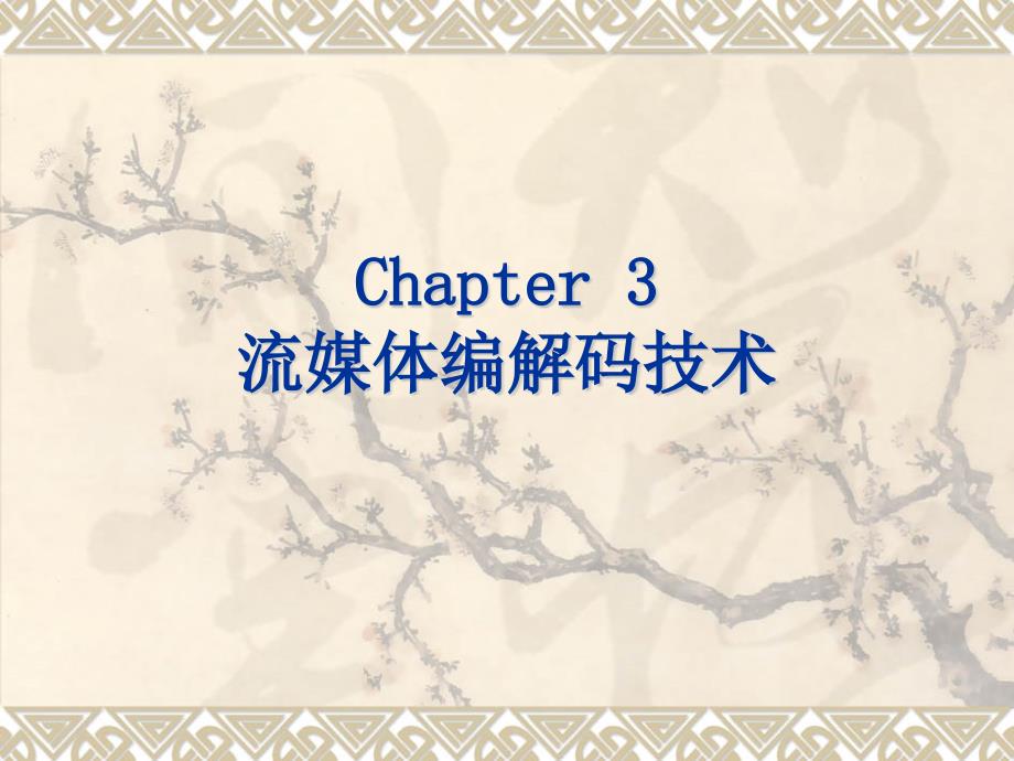 流媒体编解码技术(共49页)_第1页