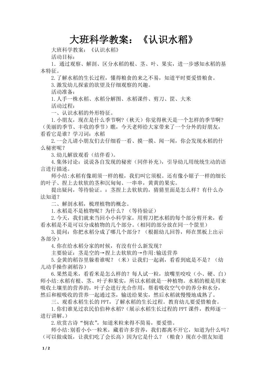 大班科学教案：《认识水稻》_第1页