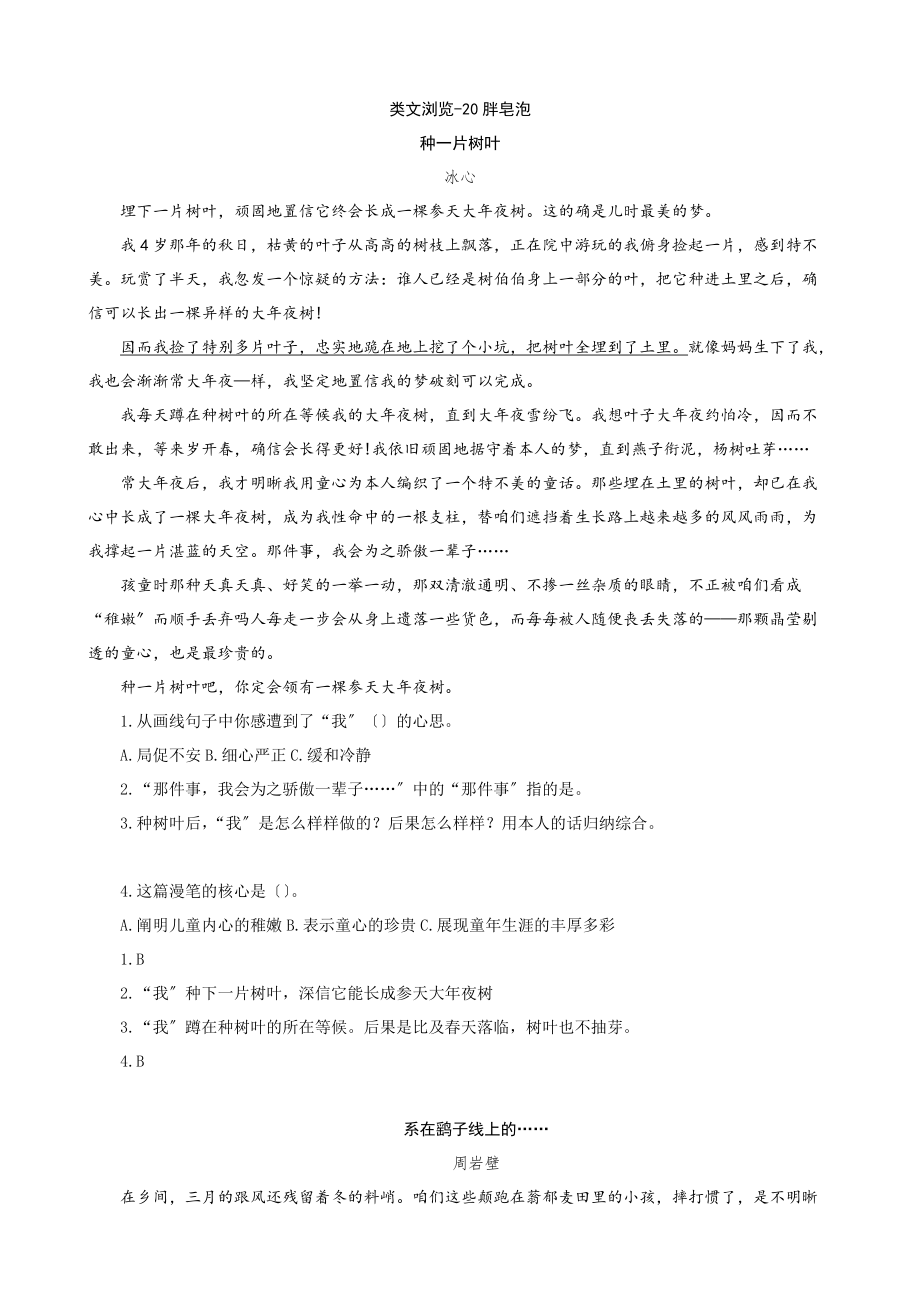 类文阅读-20肥皂泡_第1页
