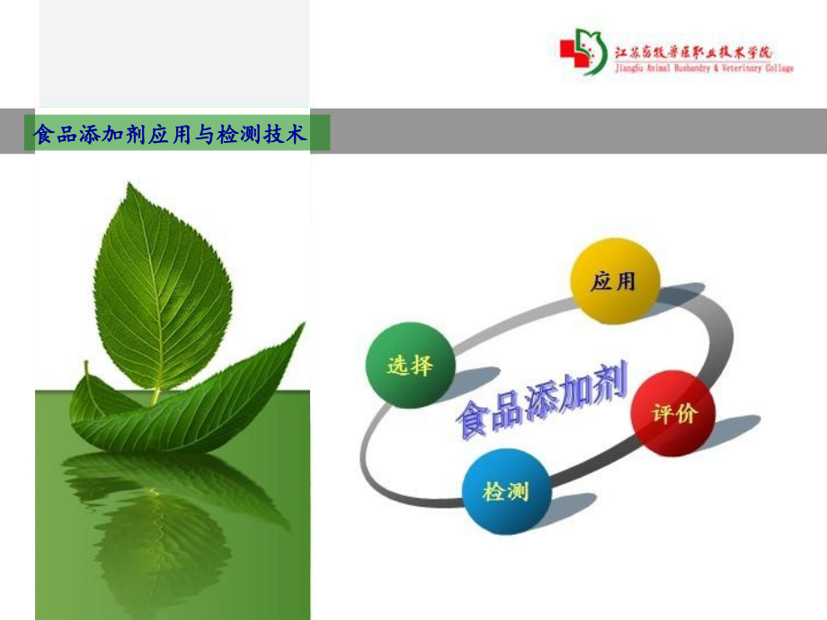 情境三食品添加剂的效果评价v讲课教案_第1页