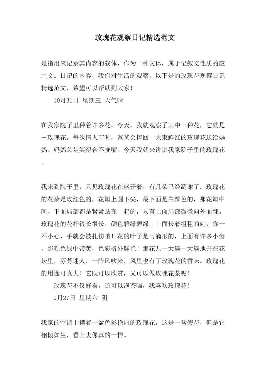 玫瑰花观察日记范文_第1页