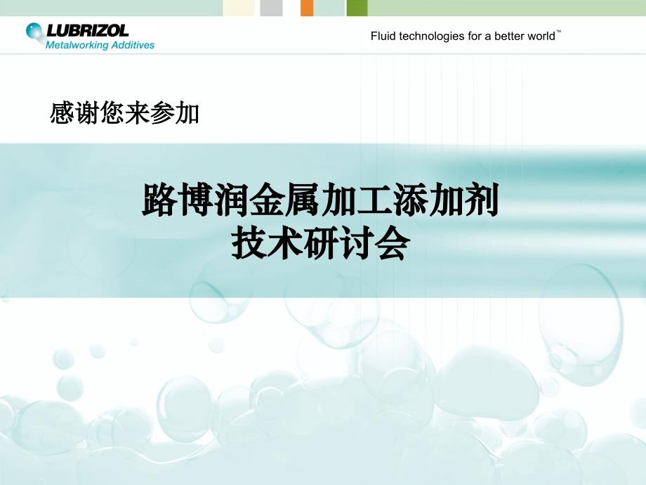 美国路博润情况复习课程_第1页