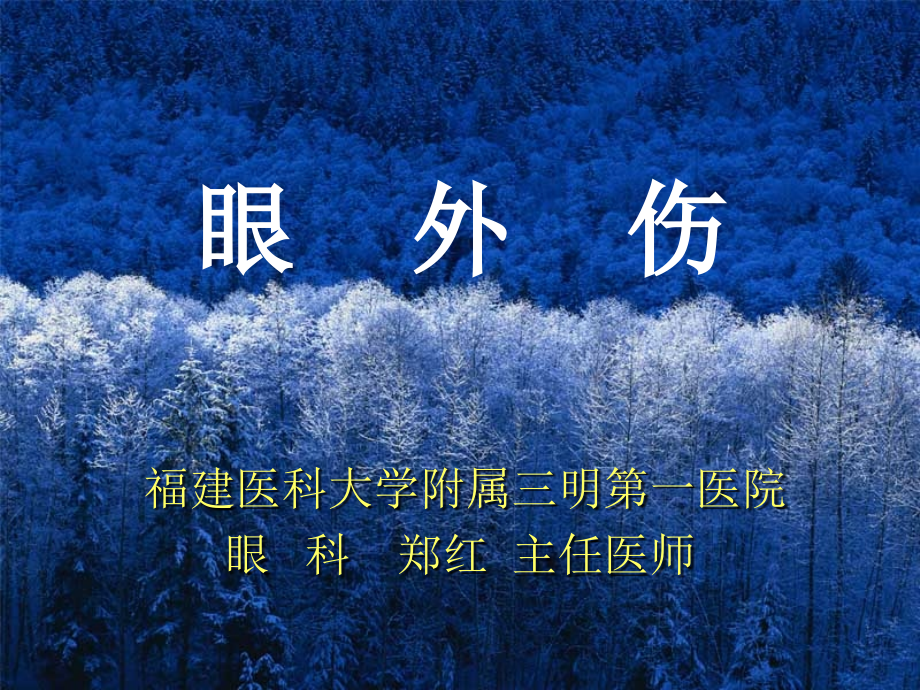 眼科医学课件 第十九章：眼外伤_第1页