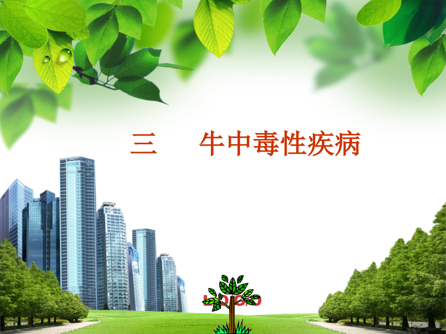 牛中毒性疾病v培训讲学_第1页