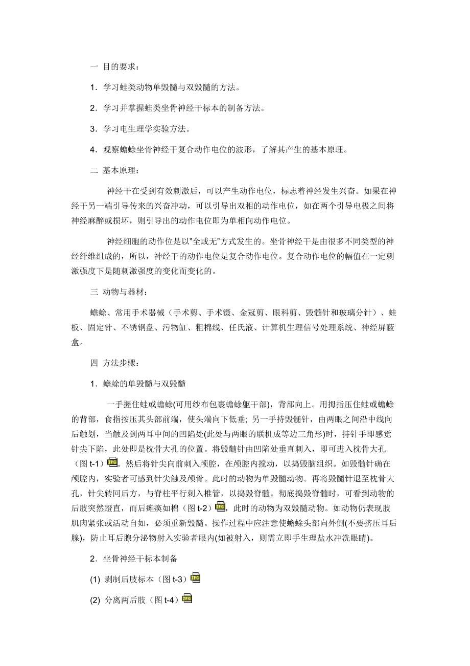 实验一_神经干动作电位的引导及其传导速度和不应期的测定_第1页