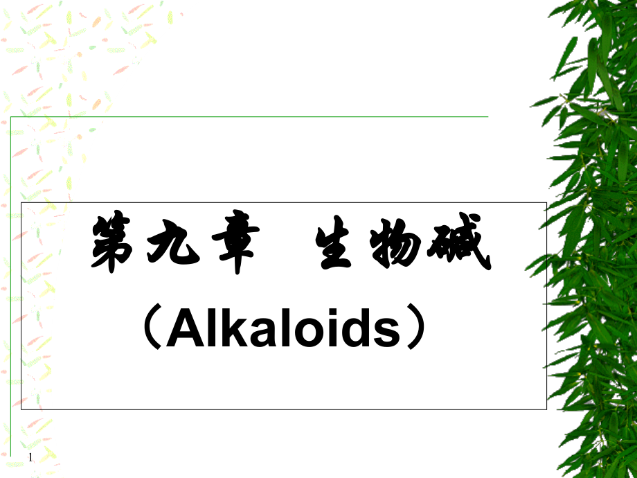 第4章_生物碱教学文案_第1页