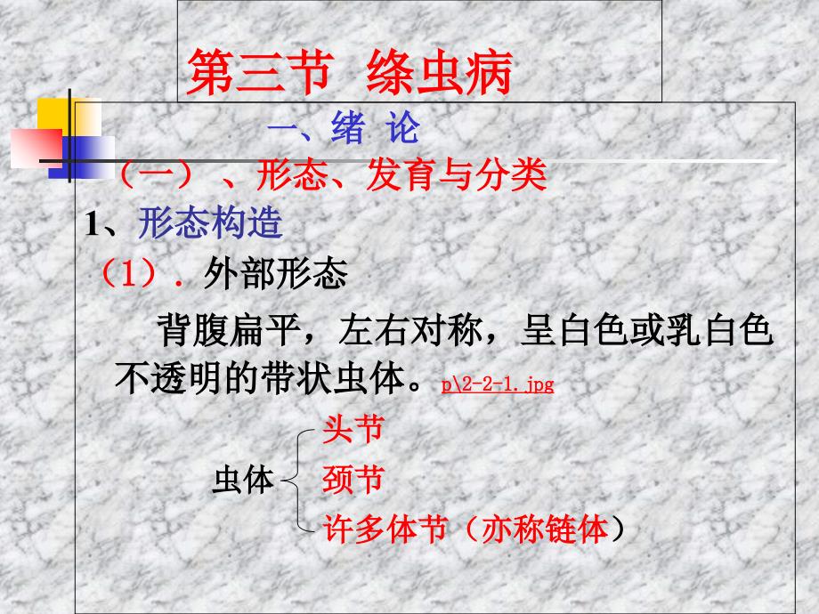 第三章动物蠕虫病学绦虫培训讲学_第1页