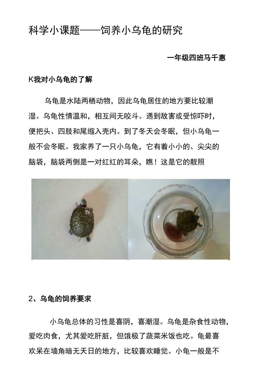 科学小课题&mdash;&mdash;饲养小乌龟的研究_第1页