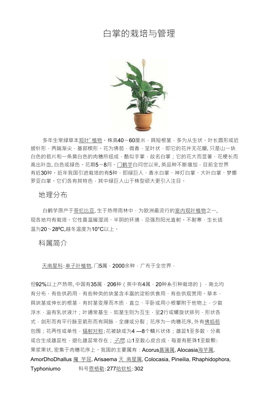 白掌的栽培与管理_第1页