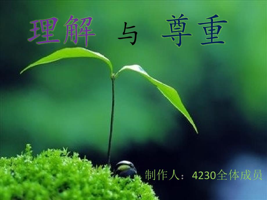 理解 与 尊重_第1页