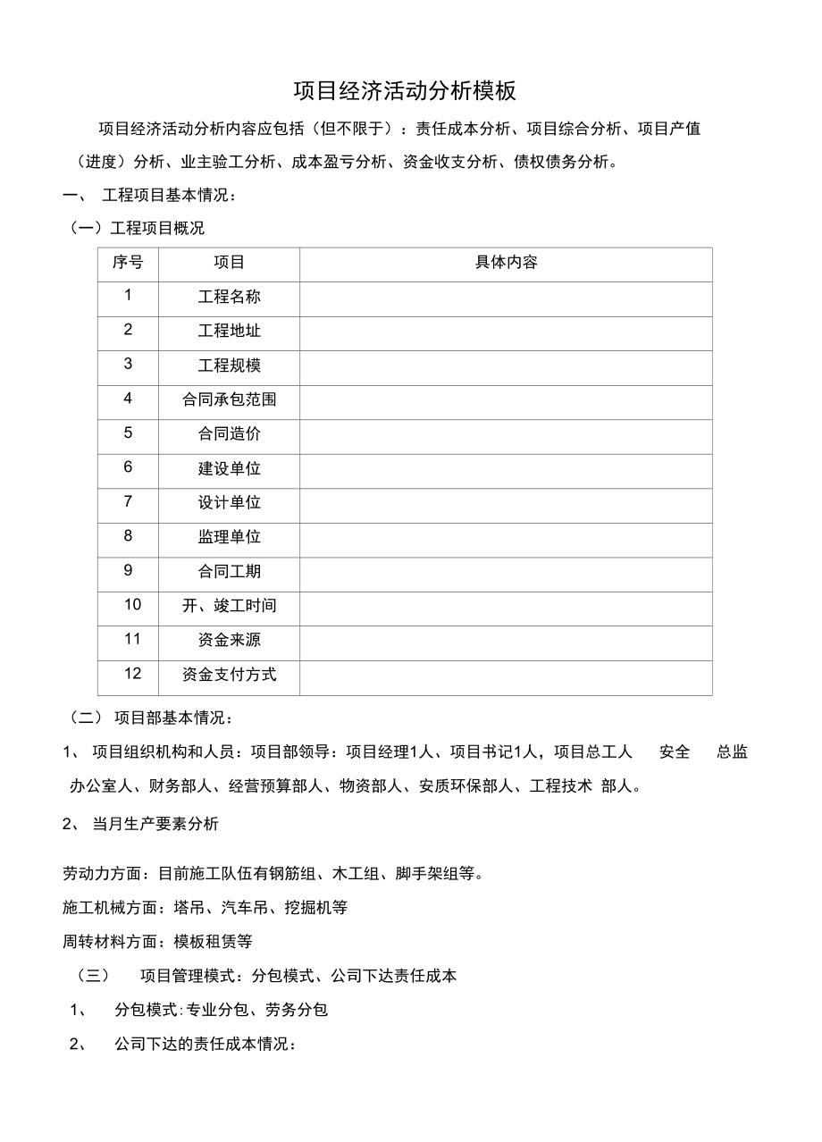 项目经济活动分析模板新_第1页