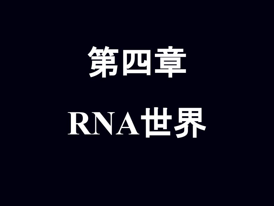 smallRNA的世界电子教案_第1页