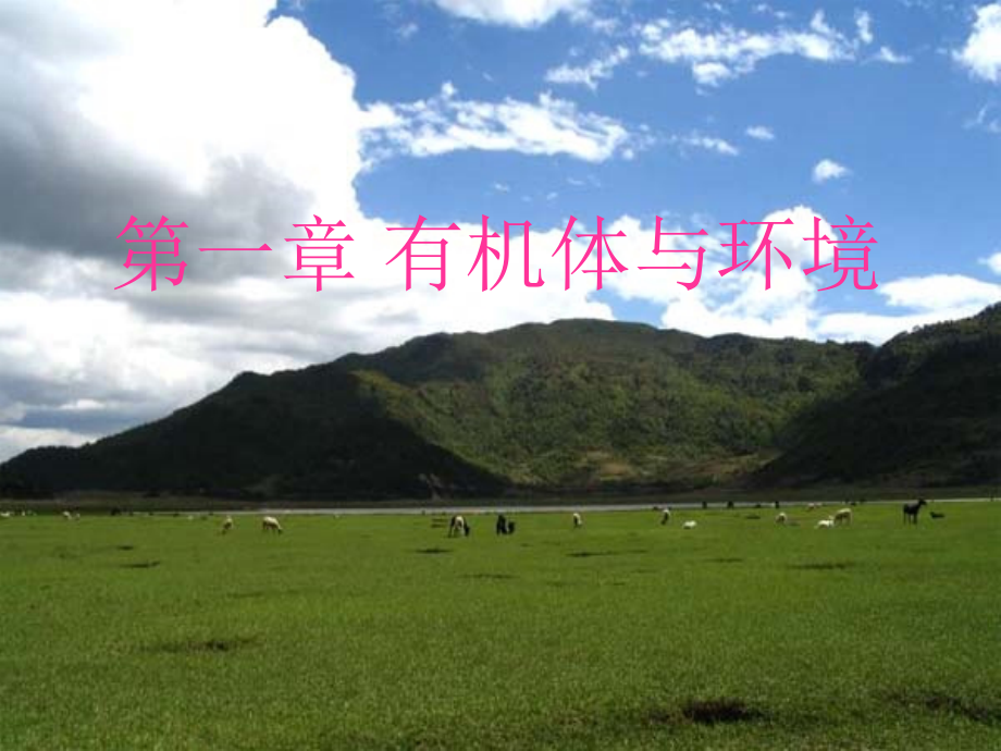 11生物与环境v教学幻灯片_第1页