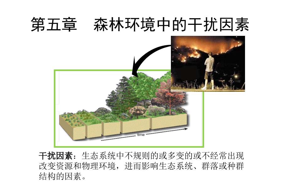 第五章森林环境中的干扰因素p教学案例_第1页