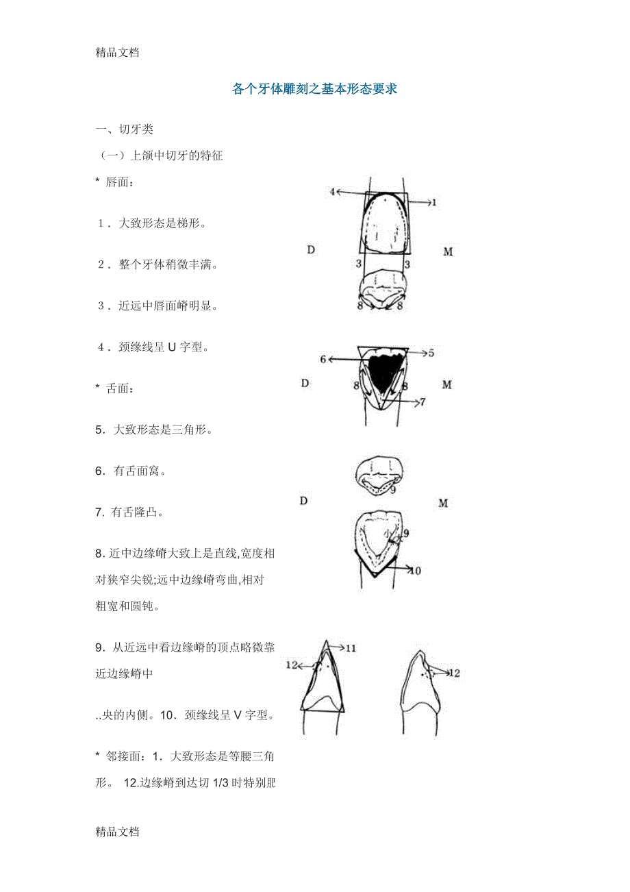 (整理)各个牙体雕刻之基本形态要求._第1页