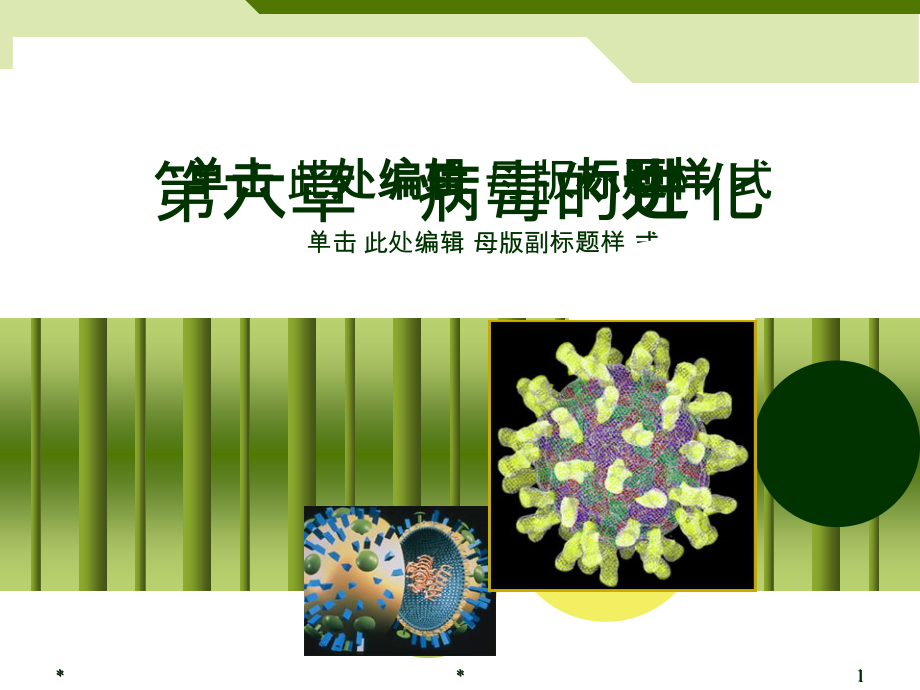 第六章病毒的进化v说课材料_第1页