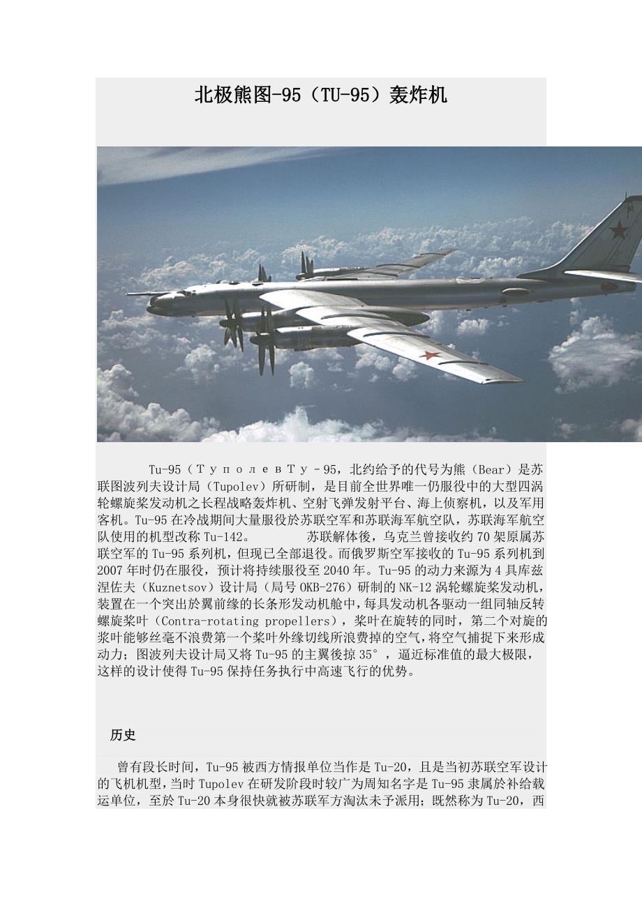 北极熊图-95(TU-95)轰炸机_第1页
