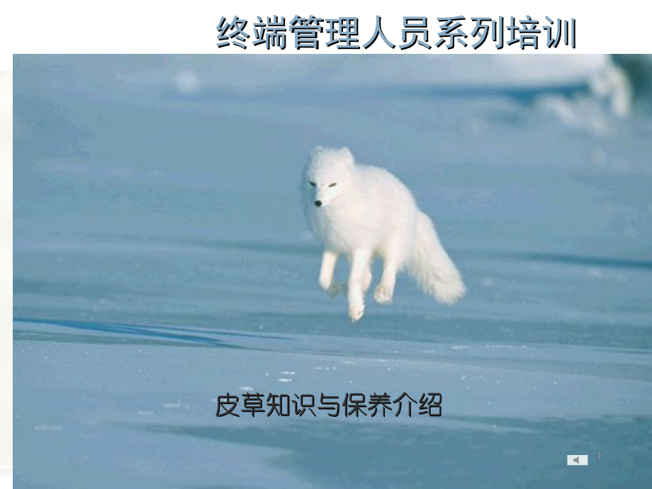 常用皮草知识ppt课件_第1页