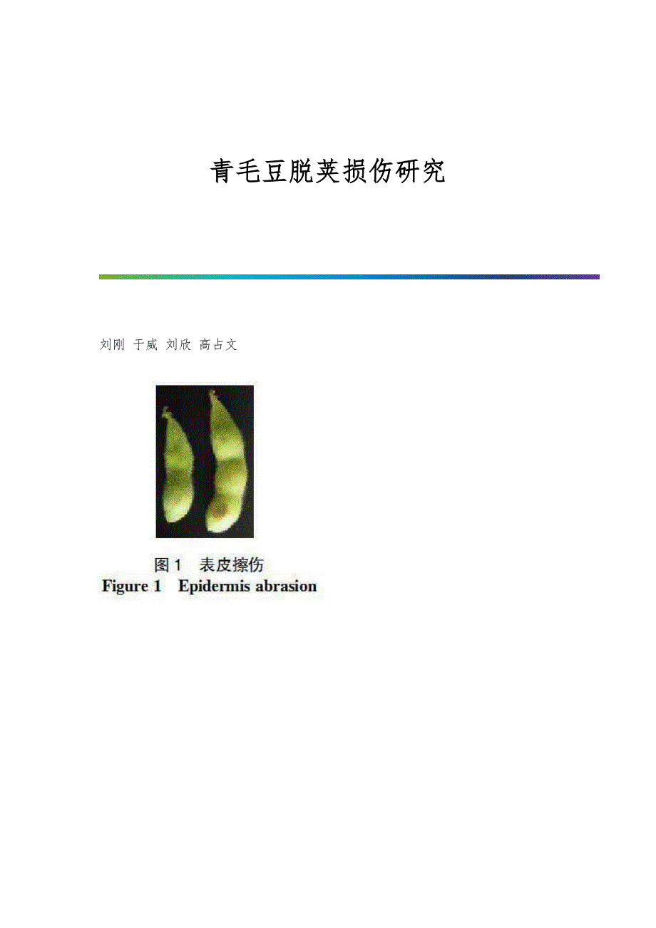 青毛豆脱荚损伤研究_第1页
