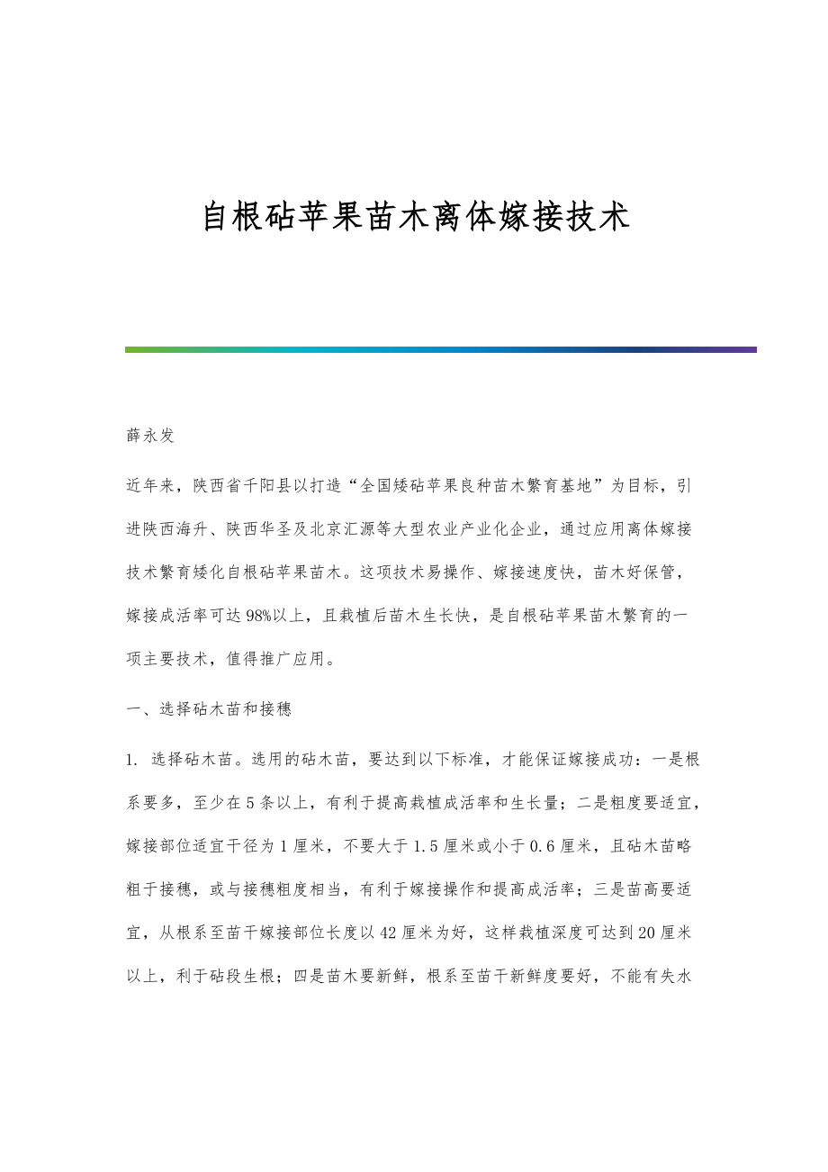 自根砧苹果苗木离体嫁接技术_第1页