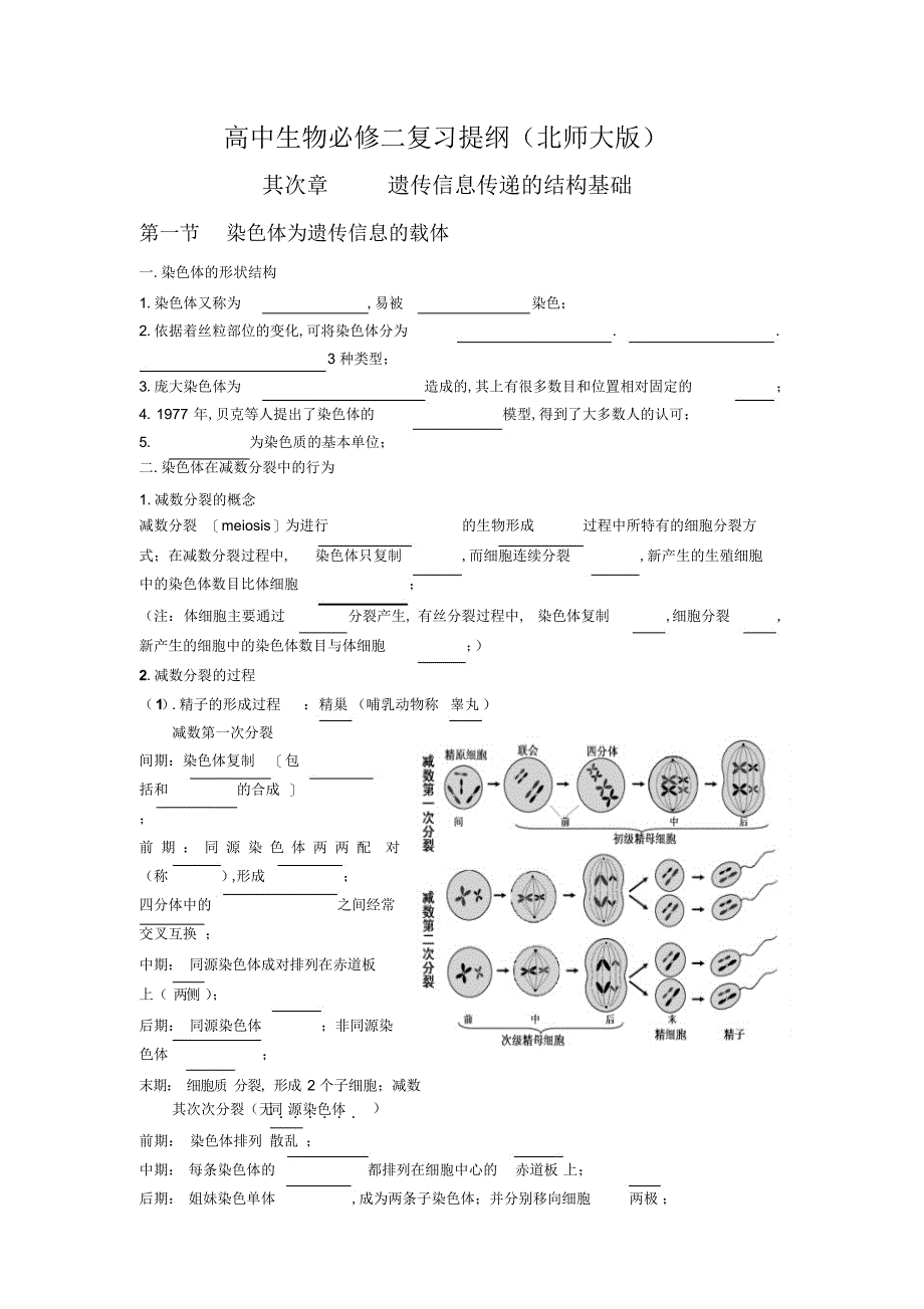2022年高中生物必修二北师大版复习提纲_第1页