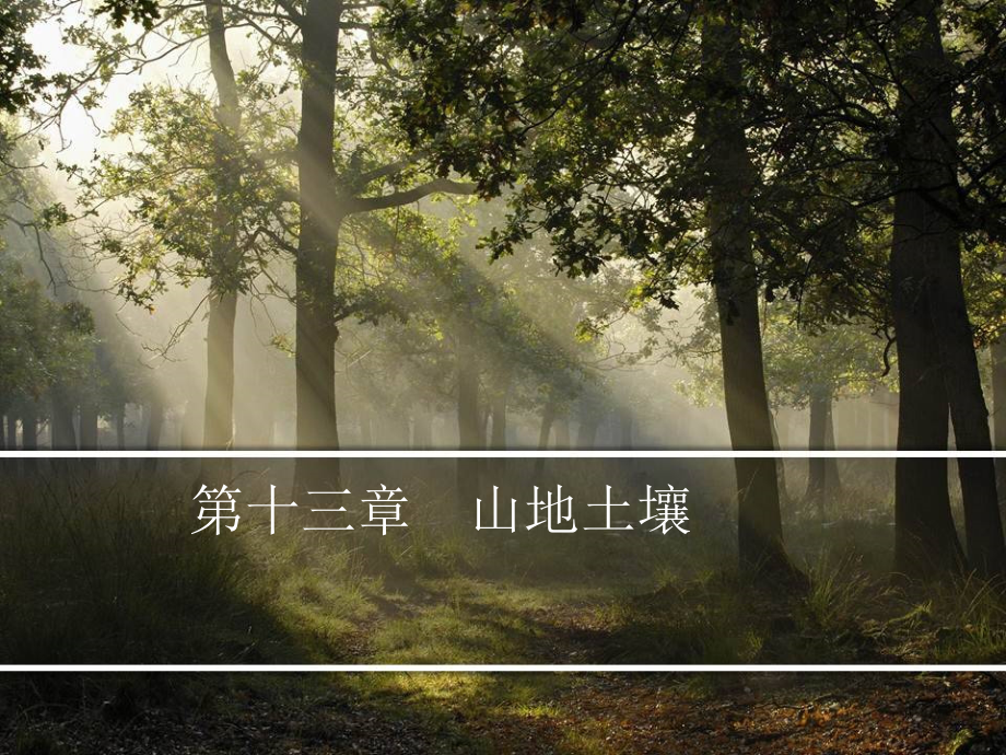 第十三章 山地土壤_第1页