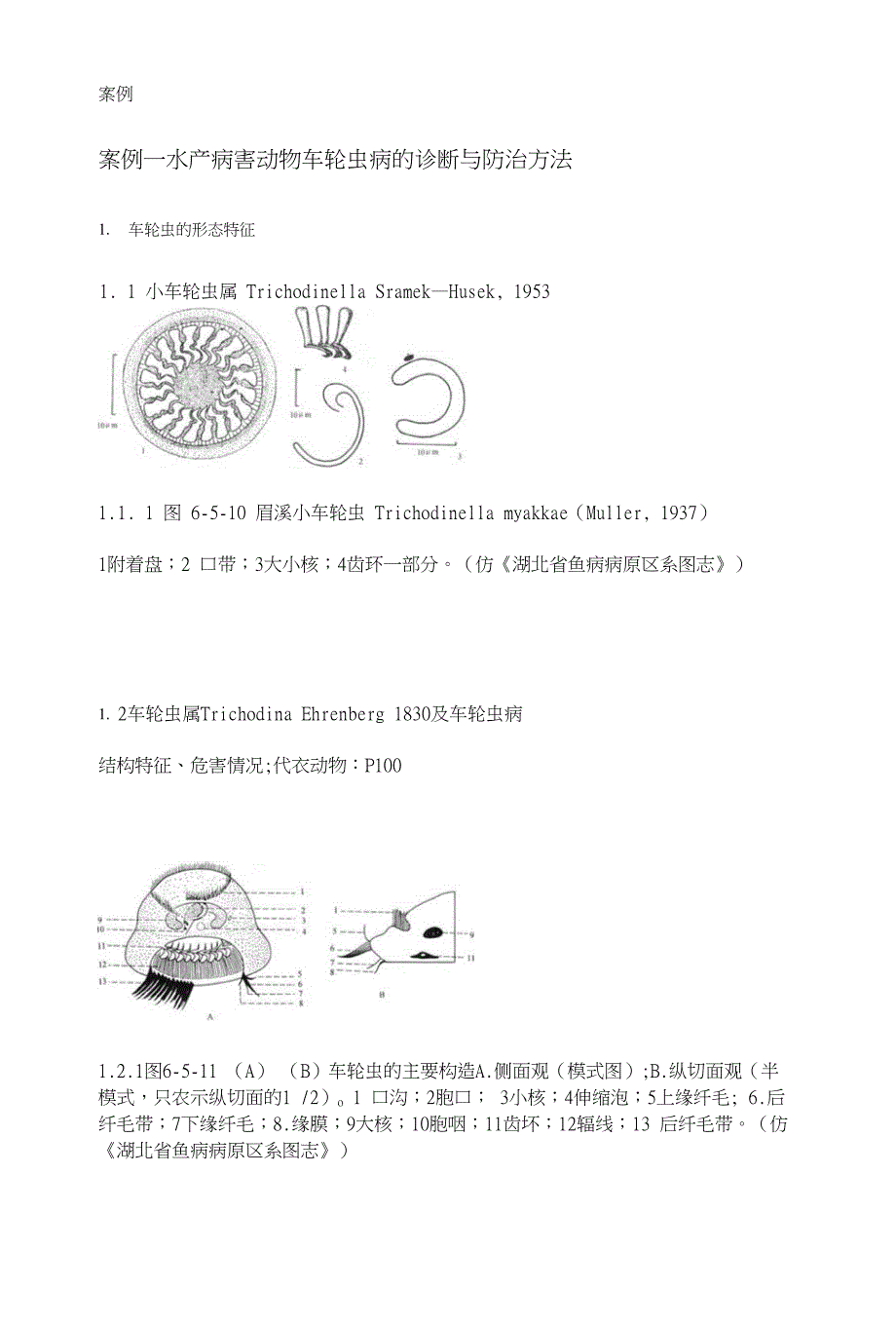 案例一水产病害动物车轮虫病的诊断与防治方法_第1页