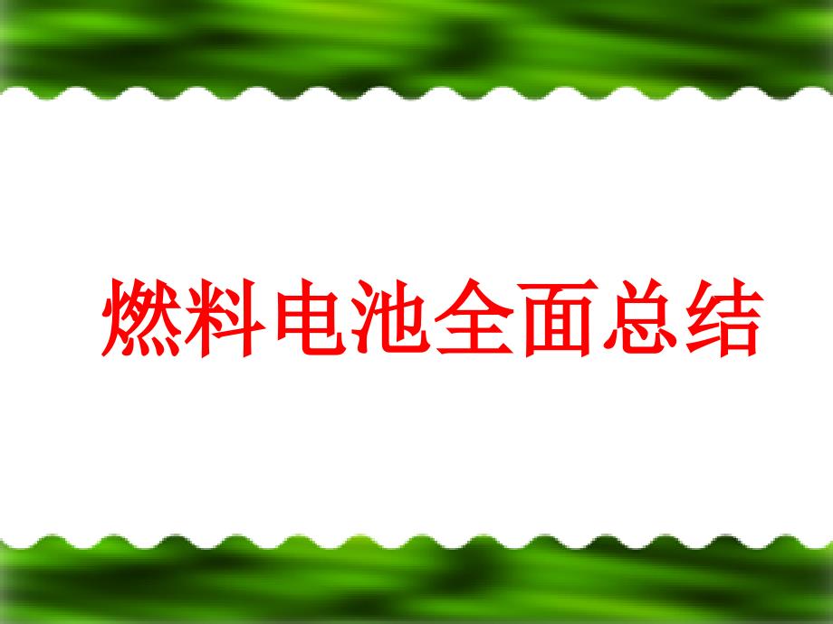 燃料电池全面总结._第1页