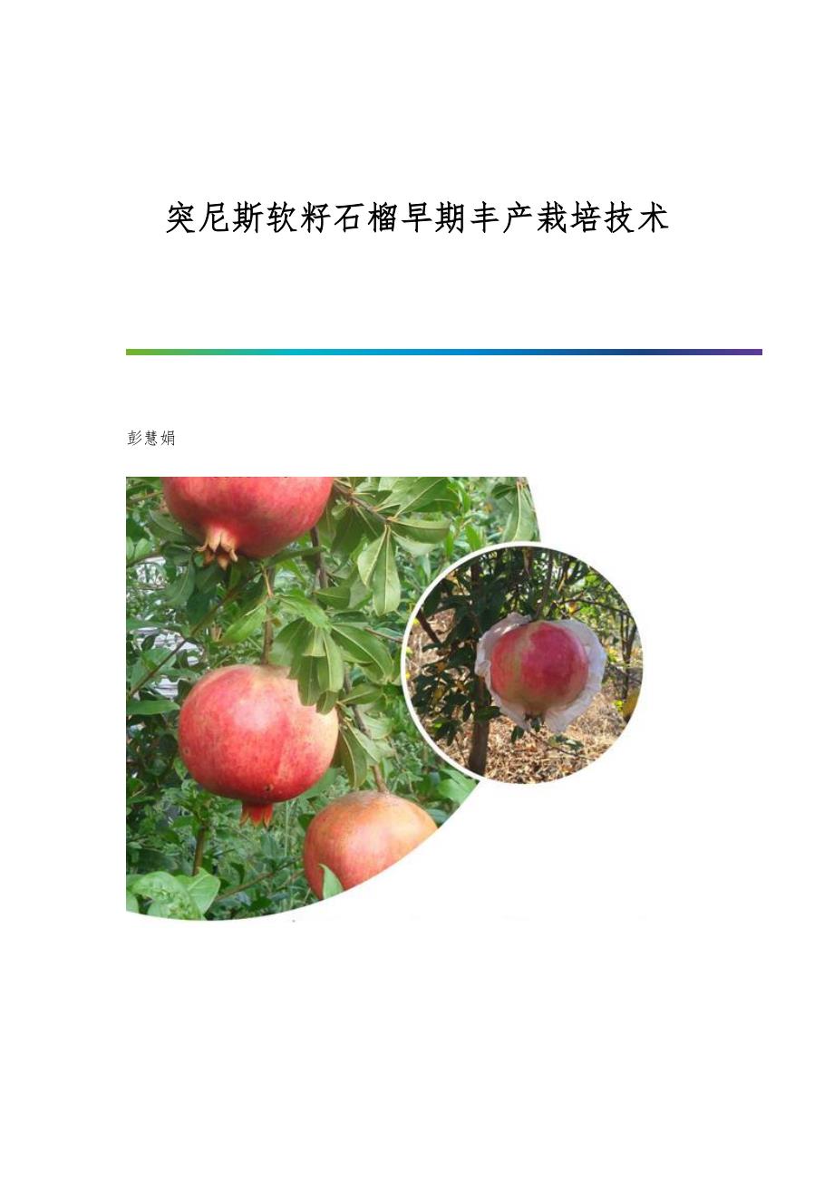 突尼斯软籽石榴早期丰产栽培技术_第1页