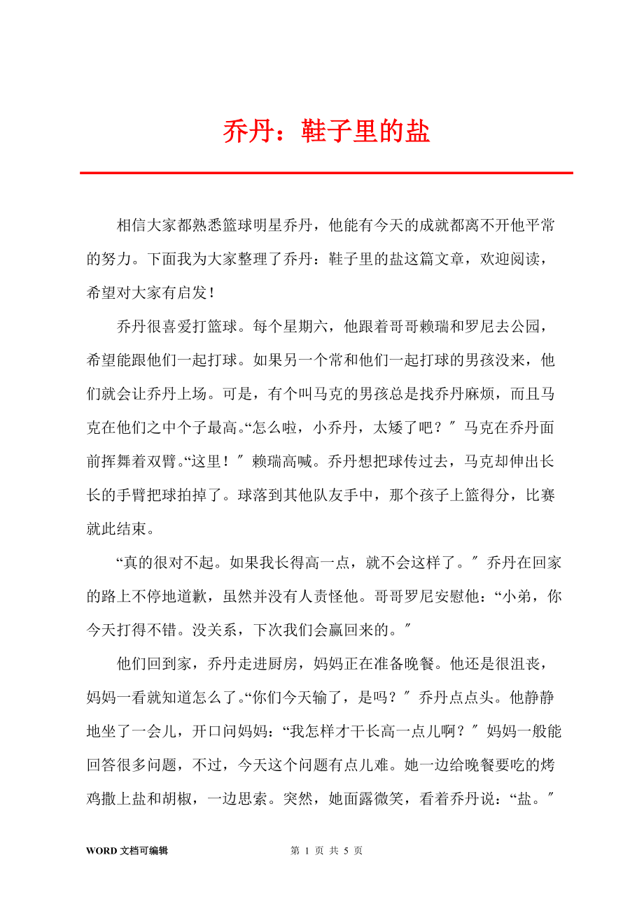 乔丹：鞋子里的盐_第1页