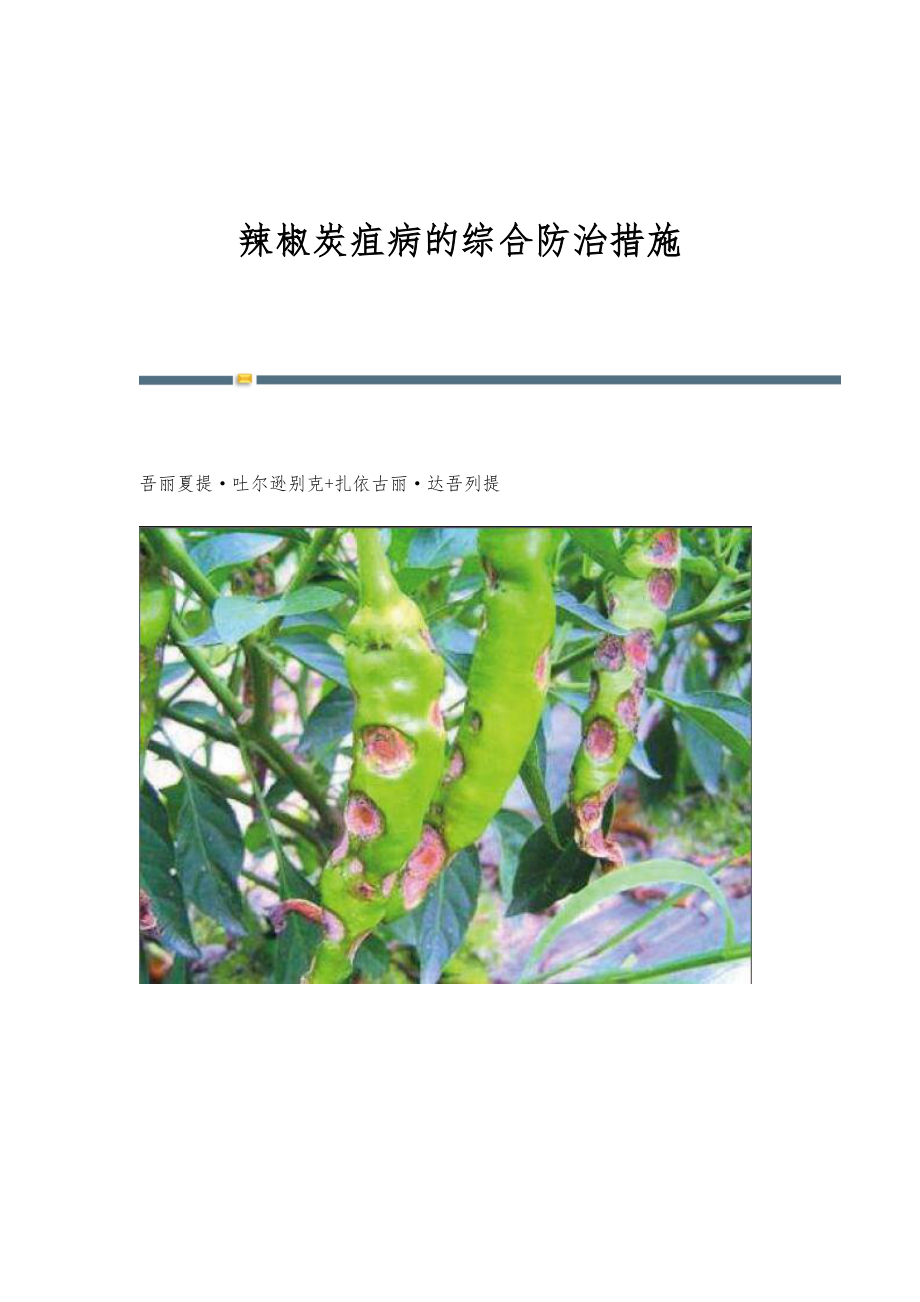 辣椒炭疽病的综合防治措施_第1页