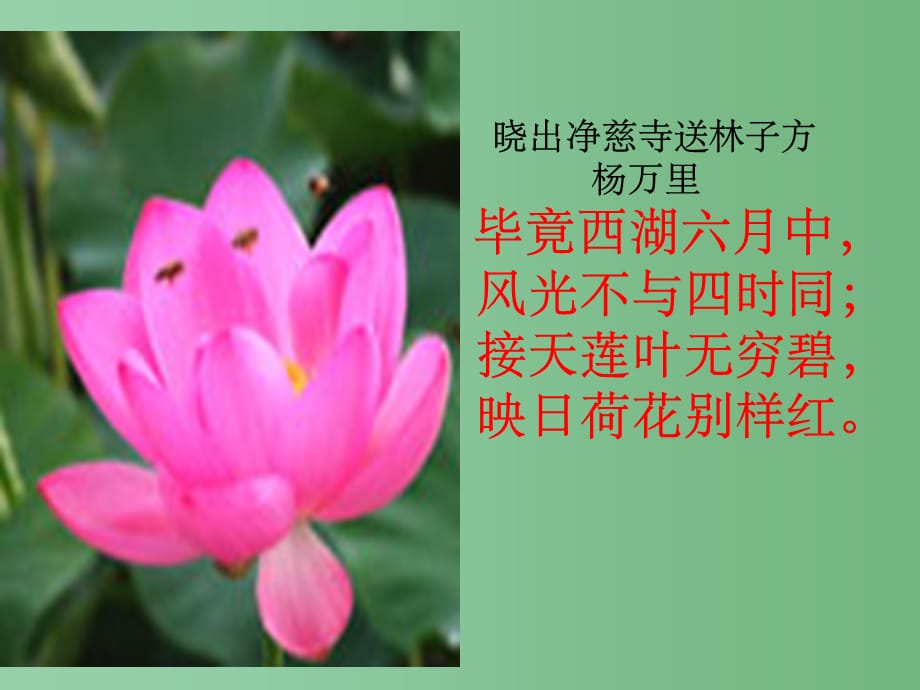 七年级语文上册 4.17《夏》 苏教版_第1页