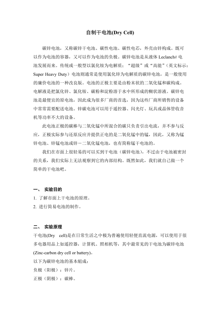 干电池的制作与测试5页_第1页