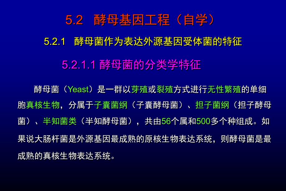酵母菌的分类学特征_第1页
