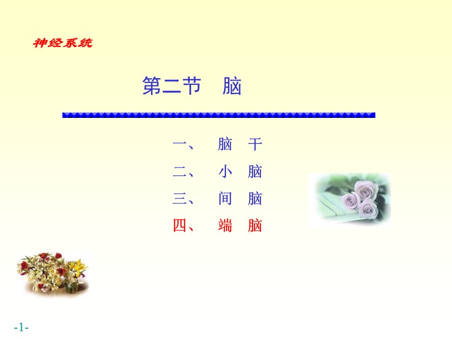 神经系统第二节脑4端脑_第1页