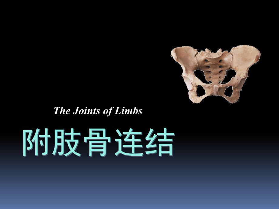 四肢骨连结_第1页