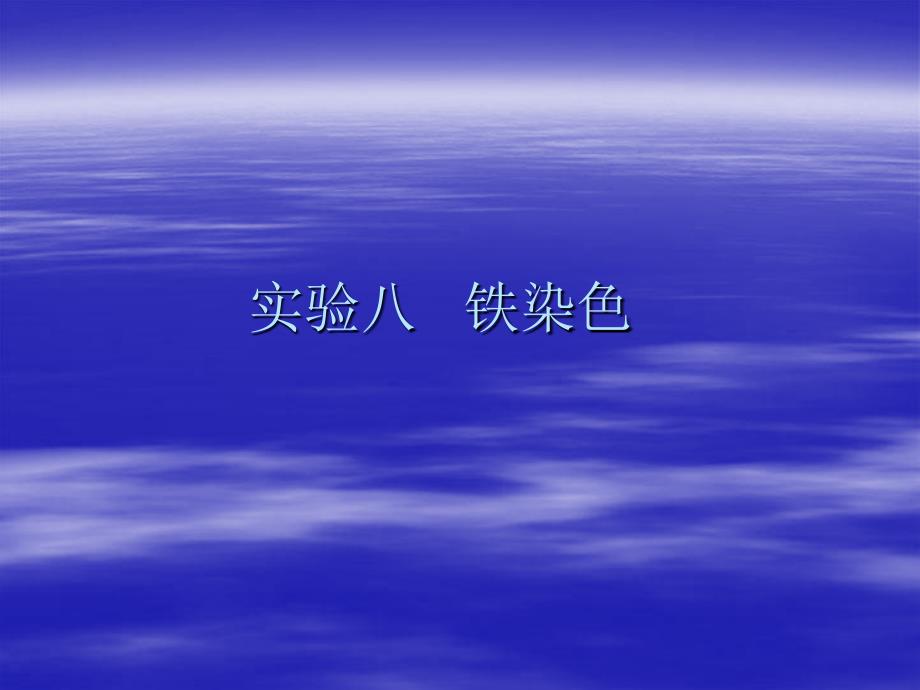 实验八 铁染色_第1页