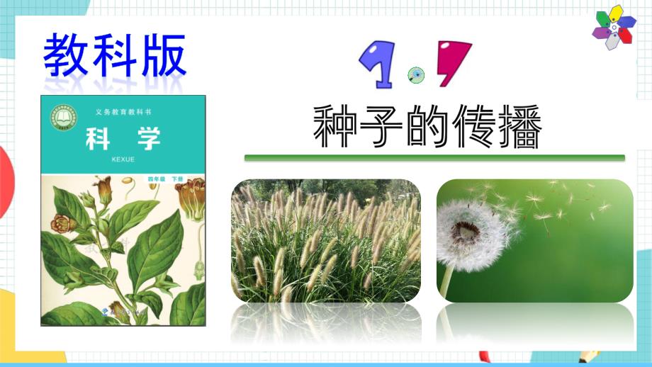 教科版科学四年级下册 1.7《种子的传播》课件_第1页