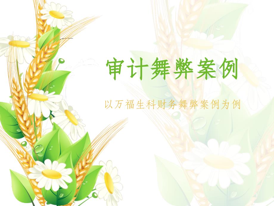 《审计舞弊案例》_第1页