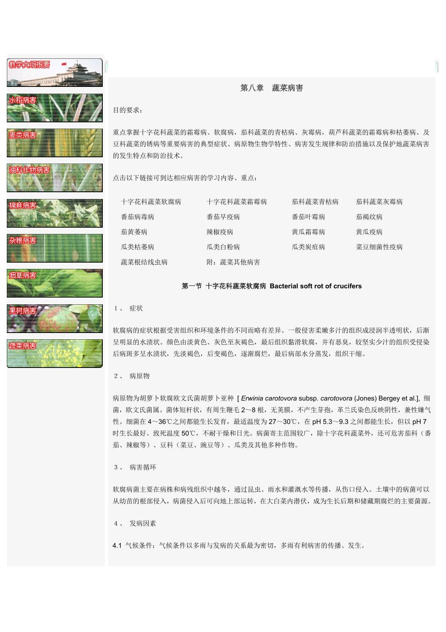 第八章 蔬菜病害_第1页