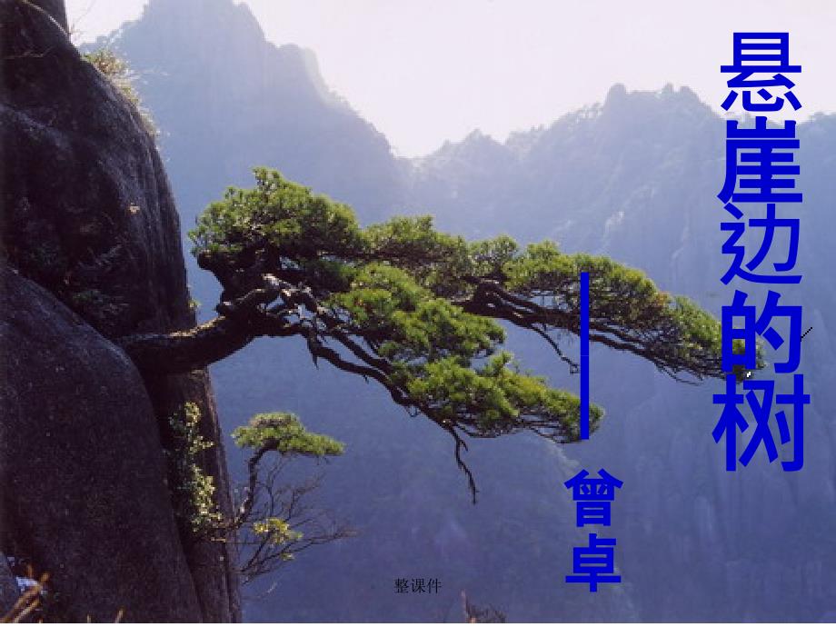 九年级语文下册 第三单元《悬岩边的树》 北师大版_第1页