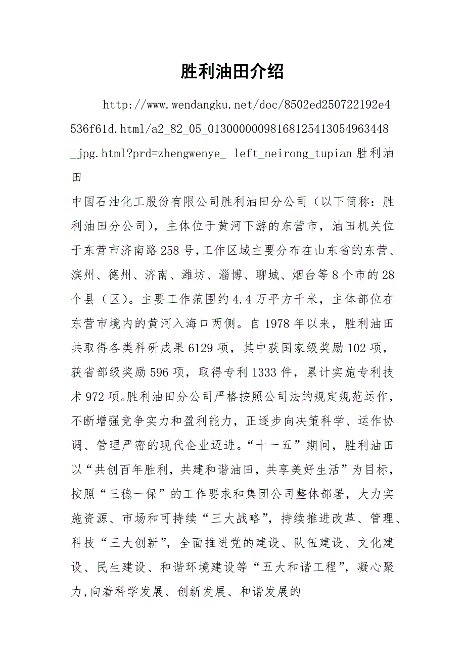 胜利油田介绍_第1页