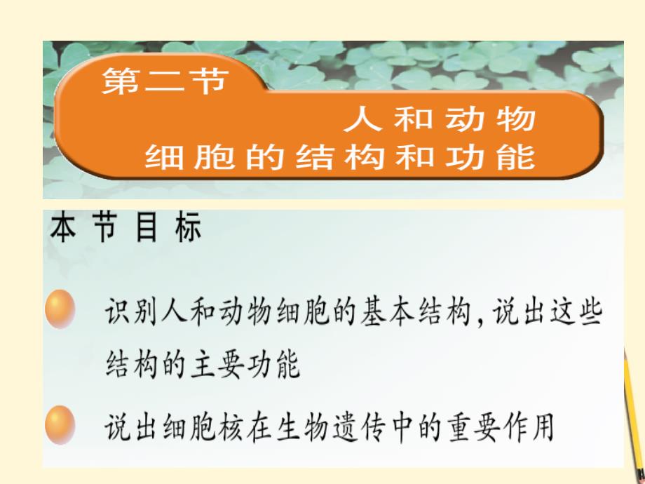 生物：《人和动物细胞的结构和功能》课件（苏教版七年级上）_第1页