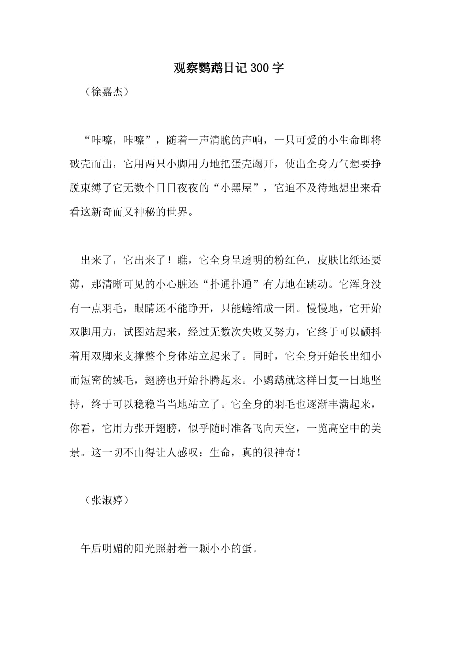 2021年观察鹦鹉日记300字_第1页