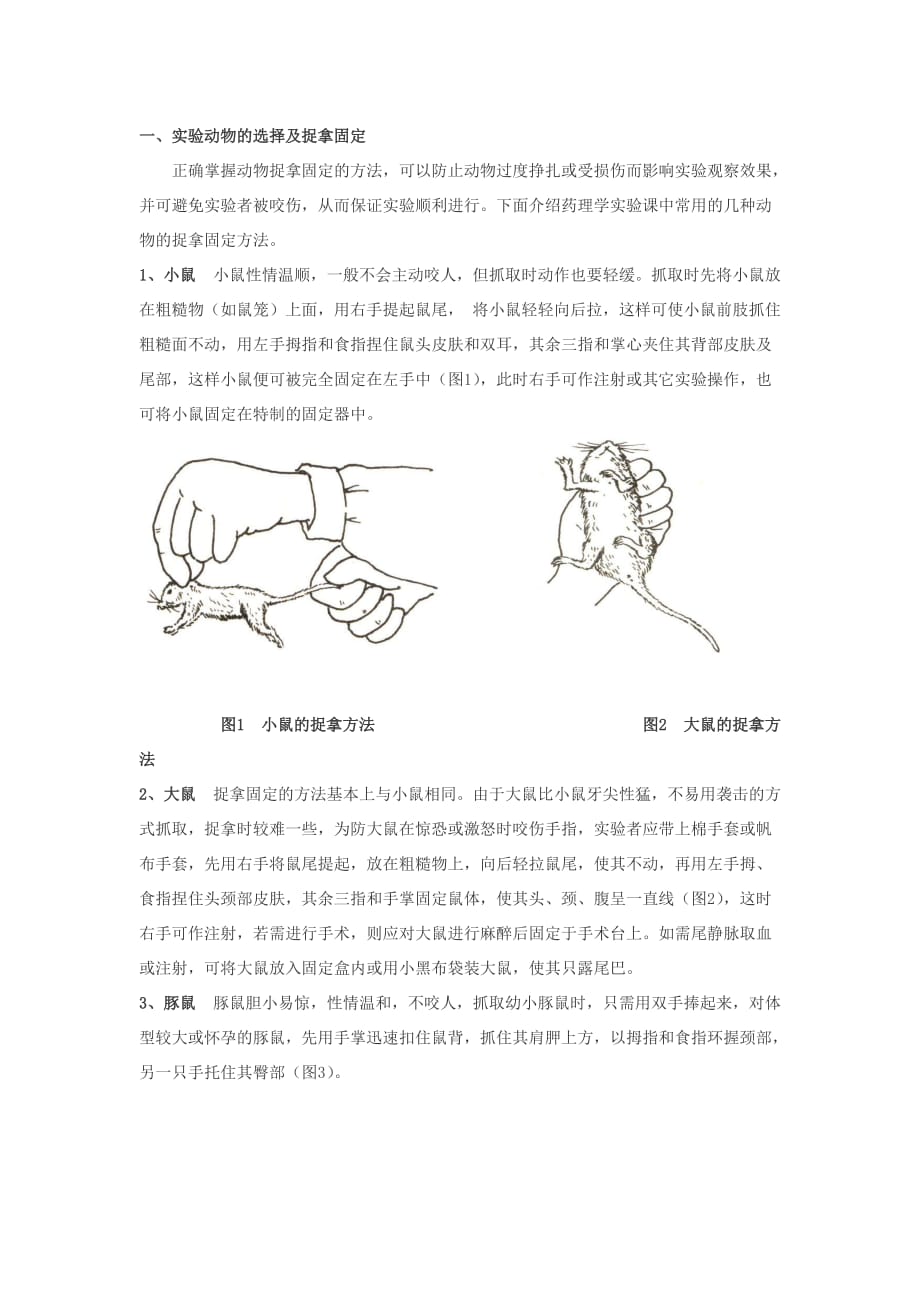 [精选]药理学实验_第1页