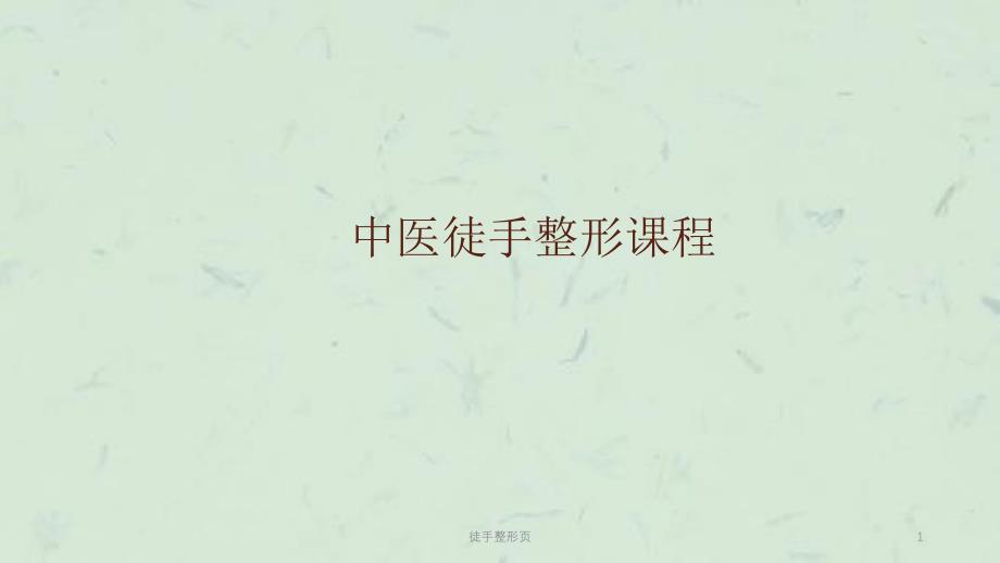 徒手整形页课件_第1页