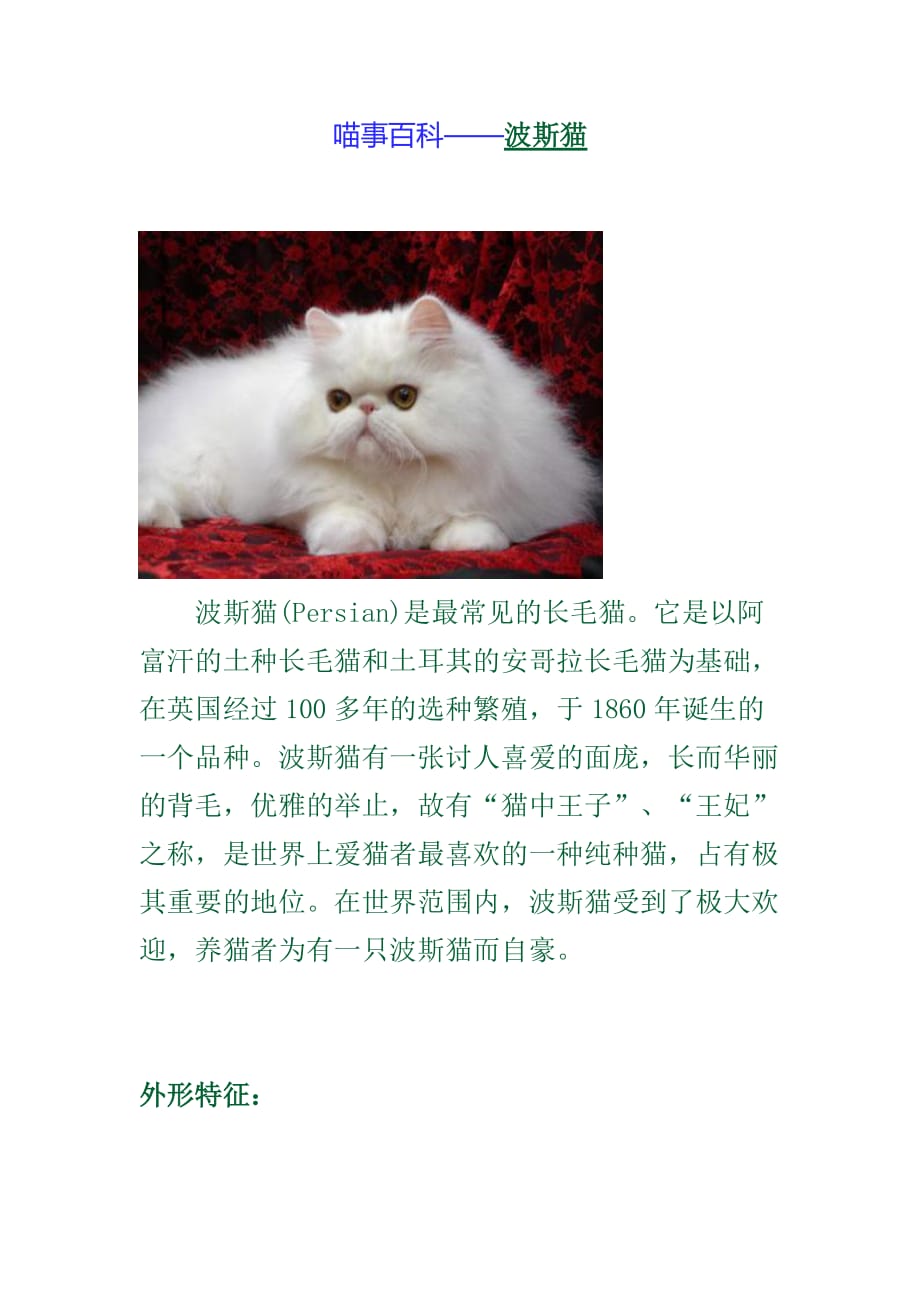 喵事百科——波斯猫_第1页