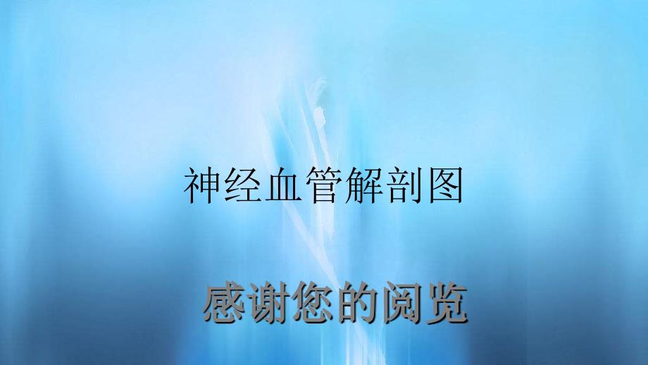 神经血管解剖图（精品收藏）_第1页