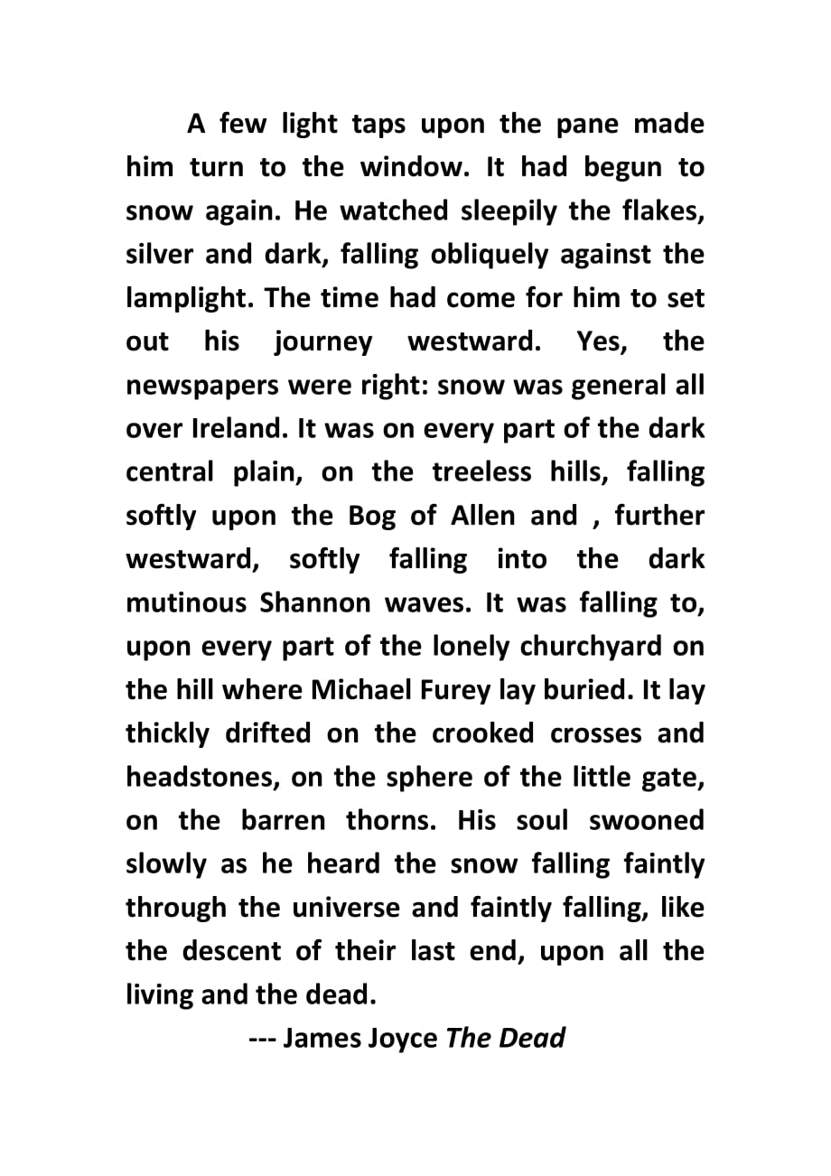 James-Joyce-The-Dead-节选及翻译2页_第1页