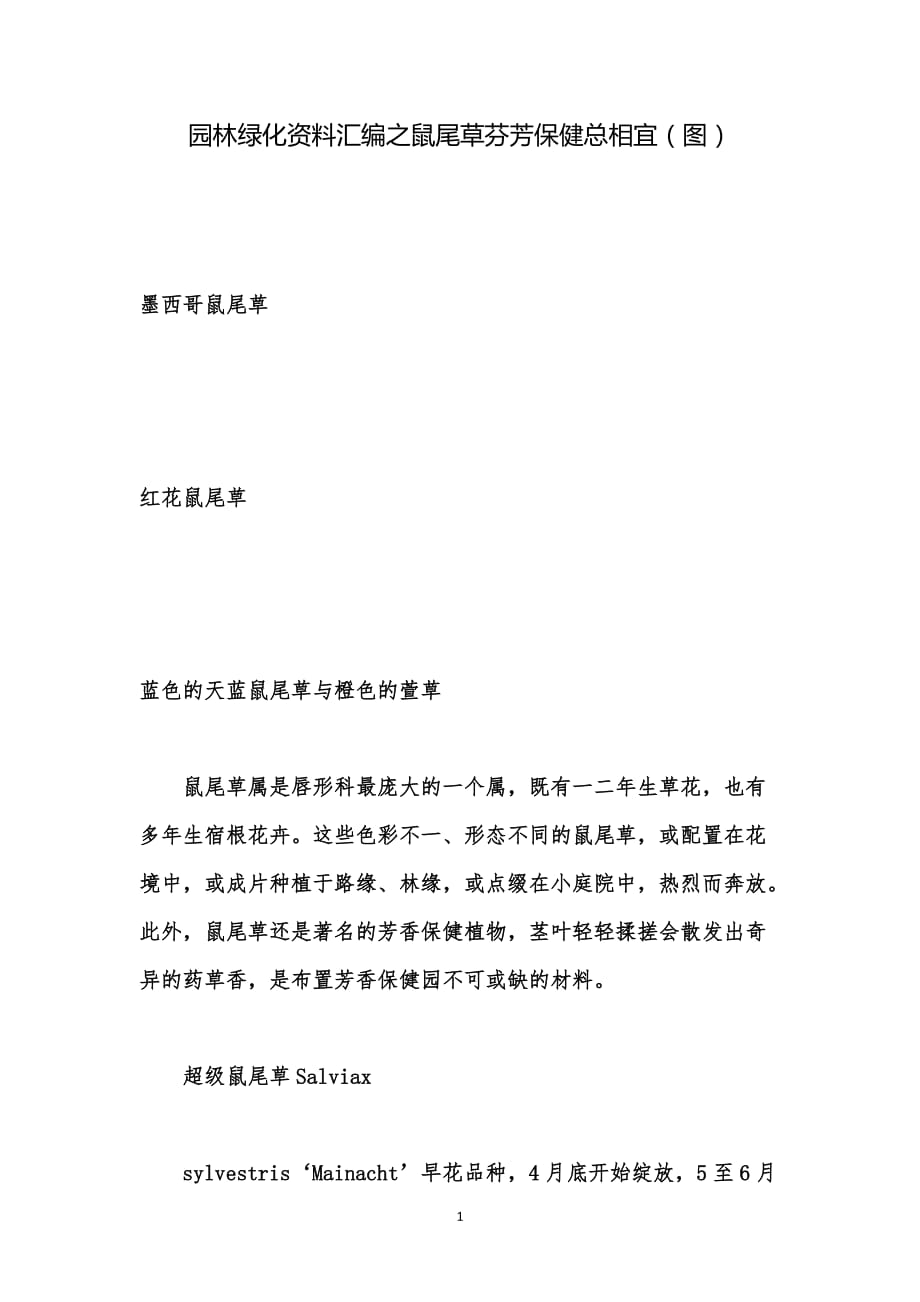 园林绿化资料汇编之鼠尾草芬芳保健总相宜（图）_第1页